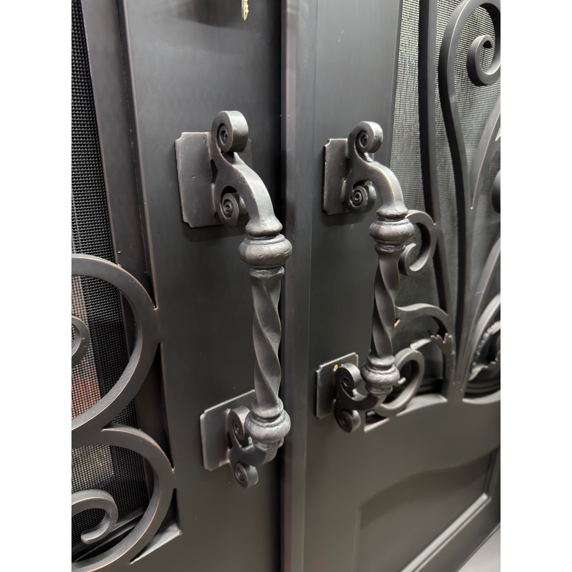 Close-up of ornate metal doors with intricate designs and handles.