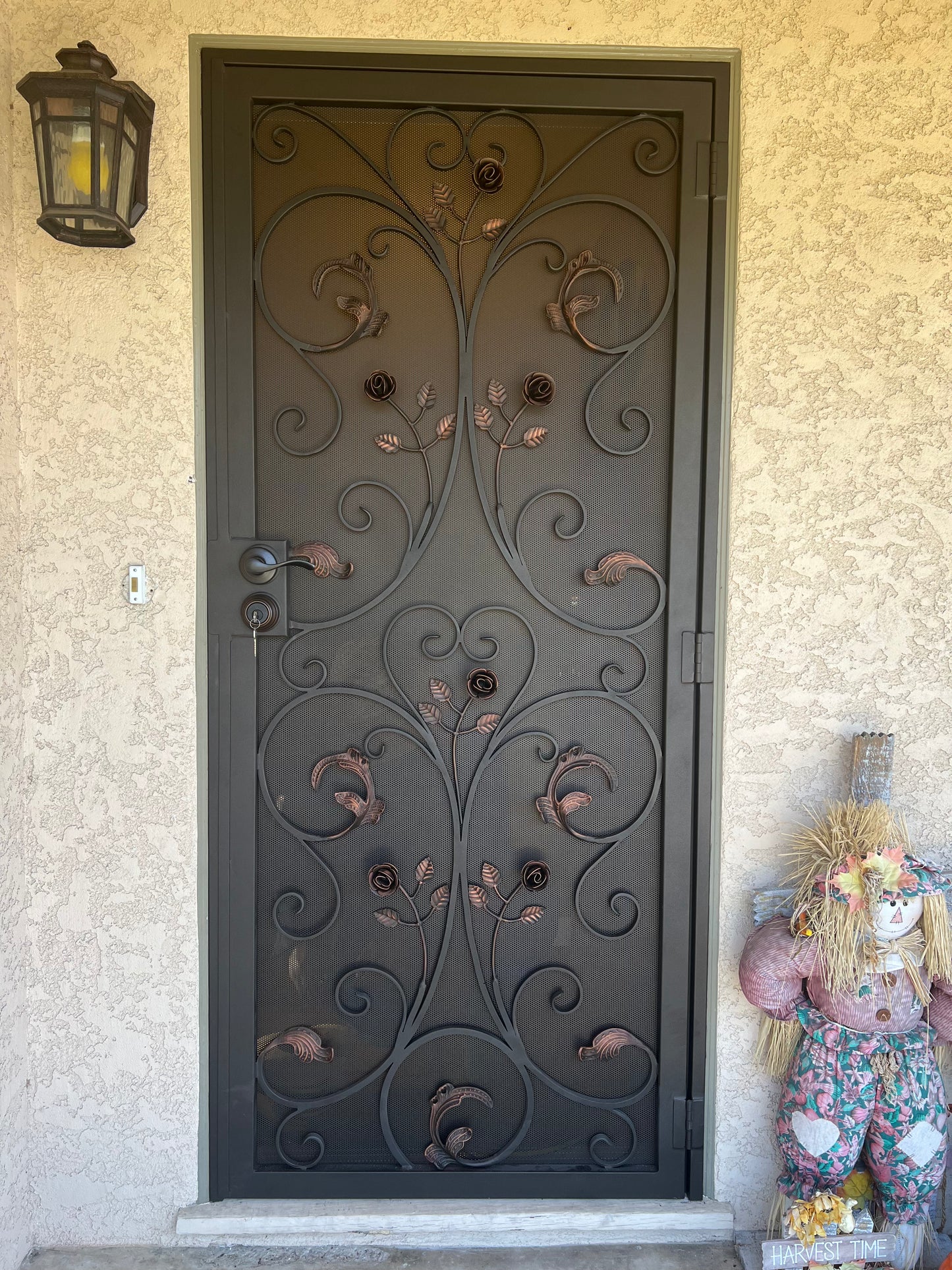 La Rosa Screen Security Door – Single Door with Decorative Screen